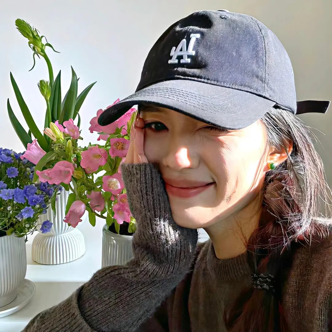 美声歌鸡