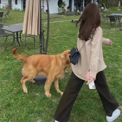 悲惨的追逐